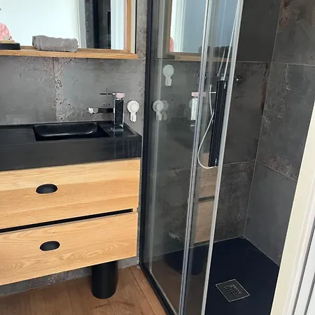 Petit Mitoyen Holiday home Royan